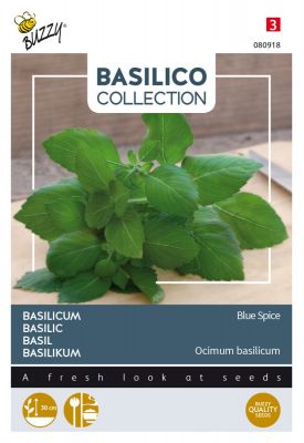 Buzzy Basilicum Blue Spice