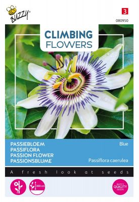 Buzzy Climbing Flowers, Passiebloem Blauw