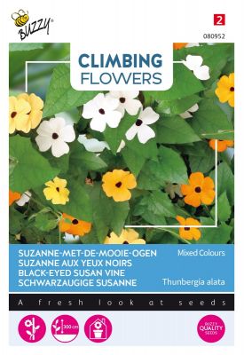 Buzzy Climbing Flowers Thunbergia, Suzanne-met-mooie-ogen