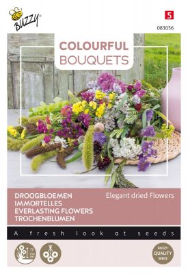 Buzzy Colourful Bouquets, Elegant dried flowers