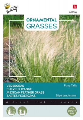 Buzzy Ornamental Grasses, Vedergras Pony tails