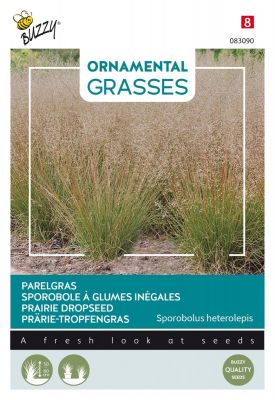 Buzzy Ornamental Grasses, Parelgras