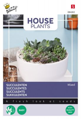 Buzzy House Plants Mixed Succulents, vetplanten