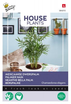 Buzzy House Plants Chamaedorea, Dwergpalm