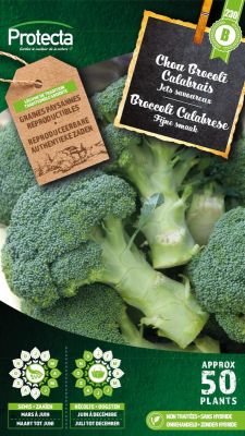 Broccoli Calabrese - Protecta Traditionele Reproduceerbare Autenthentieke Zaden
