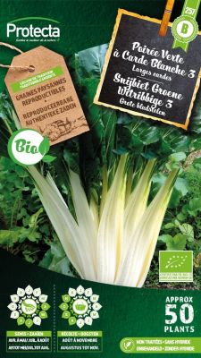 Snijbiet Groene Witribbige 3 BIO-01 - Protecta Traditionele Reproduceerbare Autenthentieke Zaden