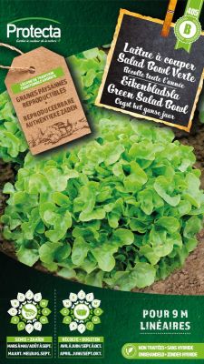Eikenbladsla Groene Salad Bowl  - Protecta Traditionele Reproduceerbare Autenthentieke Zaden