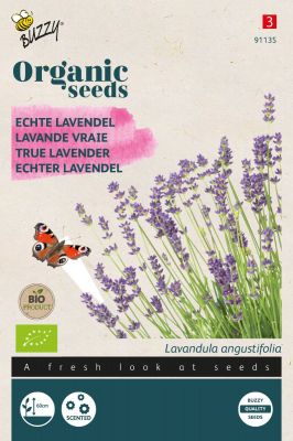 Buzzy Organic Echte Lavendel  (BIO)