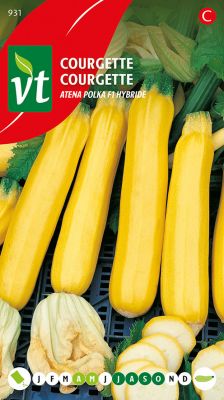 Courgette Geel Atena Polka F1