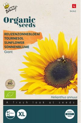 Buzzy Organic Helianthus, Reuzenzonnebloem giganteus  (BIO)
