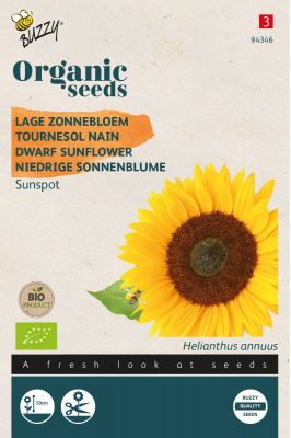 Buzzy Organic Helianthus, Lage zonnebloem Sunspot (BIO)