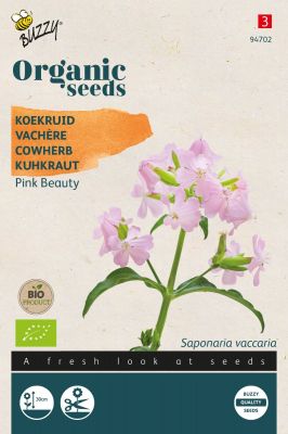 Buzzy Organic Saponaria, Koekruid Pink Beauty (BIO)