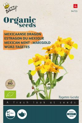 Buzzy Organic Tagetes Lucida, Mexicaanse dragon (BIO)