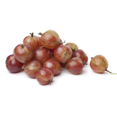 Ribes uva crispa ‘Hinnonmaki Röd’