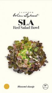 Sla Red Salad Bowl - Wim Lybaert Zaaigoed