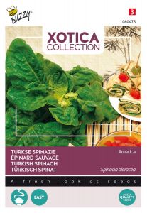 Buzzy Xotica Turkse Spinazie (wilde)