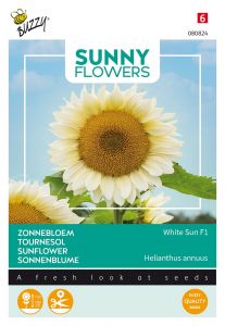 Buzzy Sunny Flowers, Zonnebloem White Sun F1