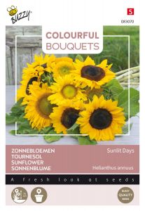 Buzzy Colourful Bouquets, Sunlit Days, zonnebloem