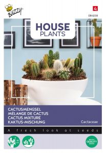 Buzzy House Plants Cactus mengsel