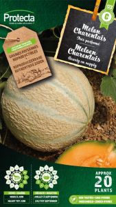 Meloen Canteloup Charentais - Protecta Traditionele Reproduceerbare Autenthentieke Zaden