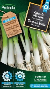 Bieslook Witte - Protecta Traditionele Reproduceerbare Autenthentieke Zaden