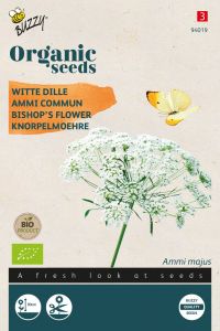 Buzzy Organic Ammi Majus, Witte Dille (BIO)